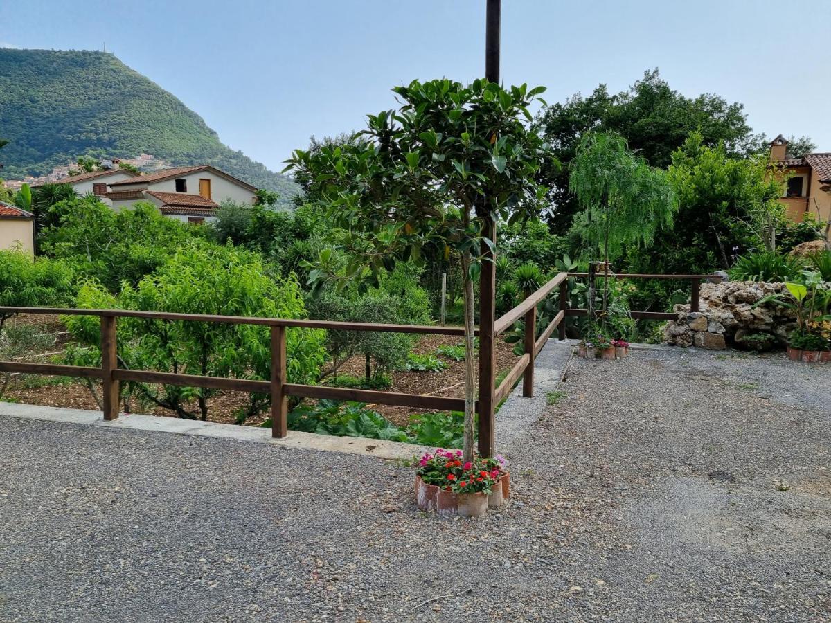 Il Ruscello Bed & Breakfast Maratea Exterior photo