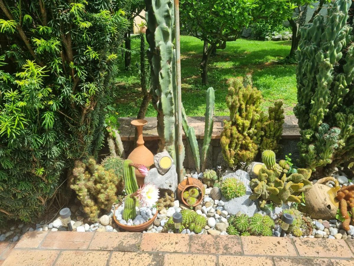 Il Ruscello Bed & Breakfast Maratea Exterior photo