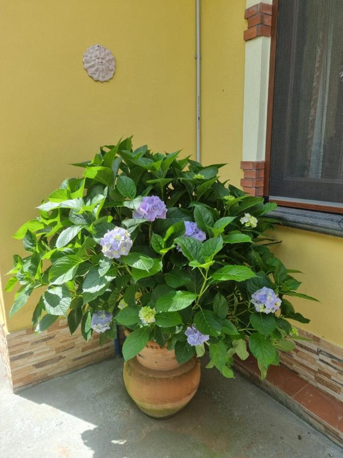 Il Ruscello Bed & Breakfast Maratea Exterior photo